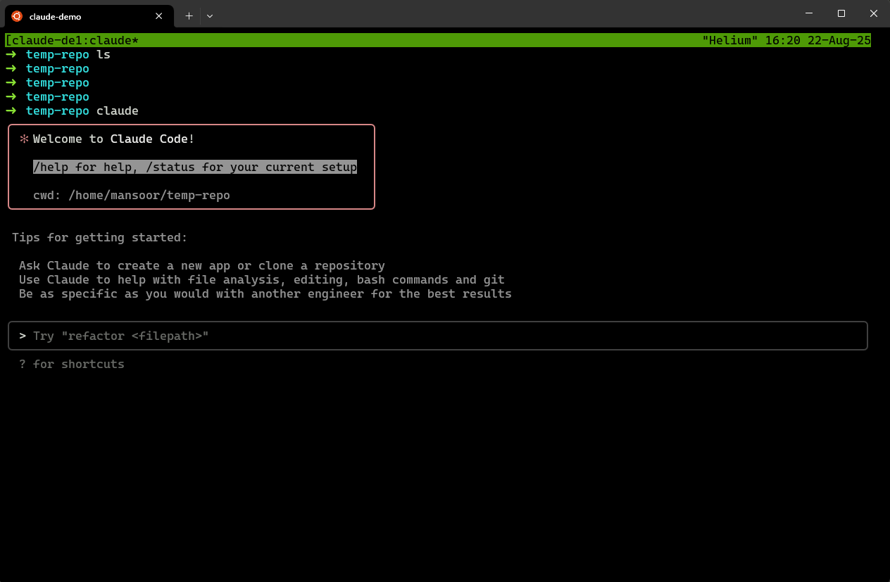 Using Claude-Code on the go